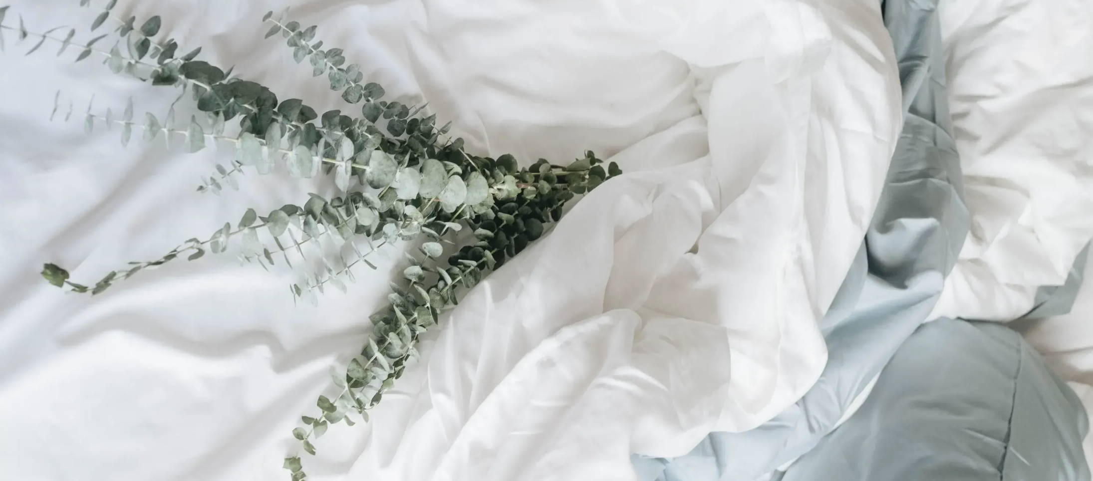 Everything You Need To Know About Tencel Lyocell Sheets