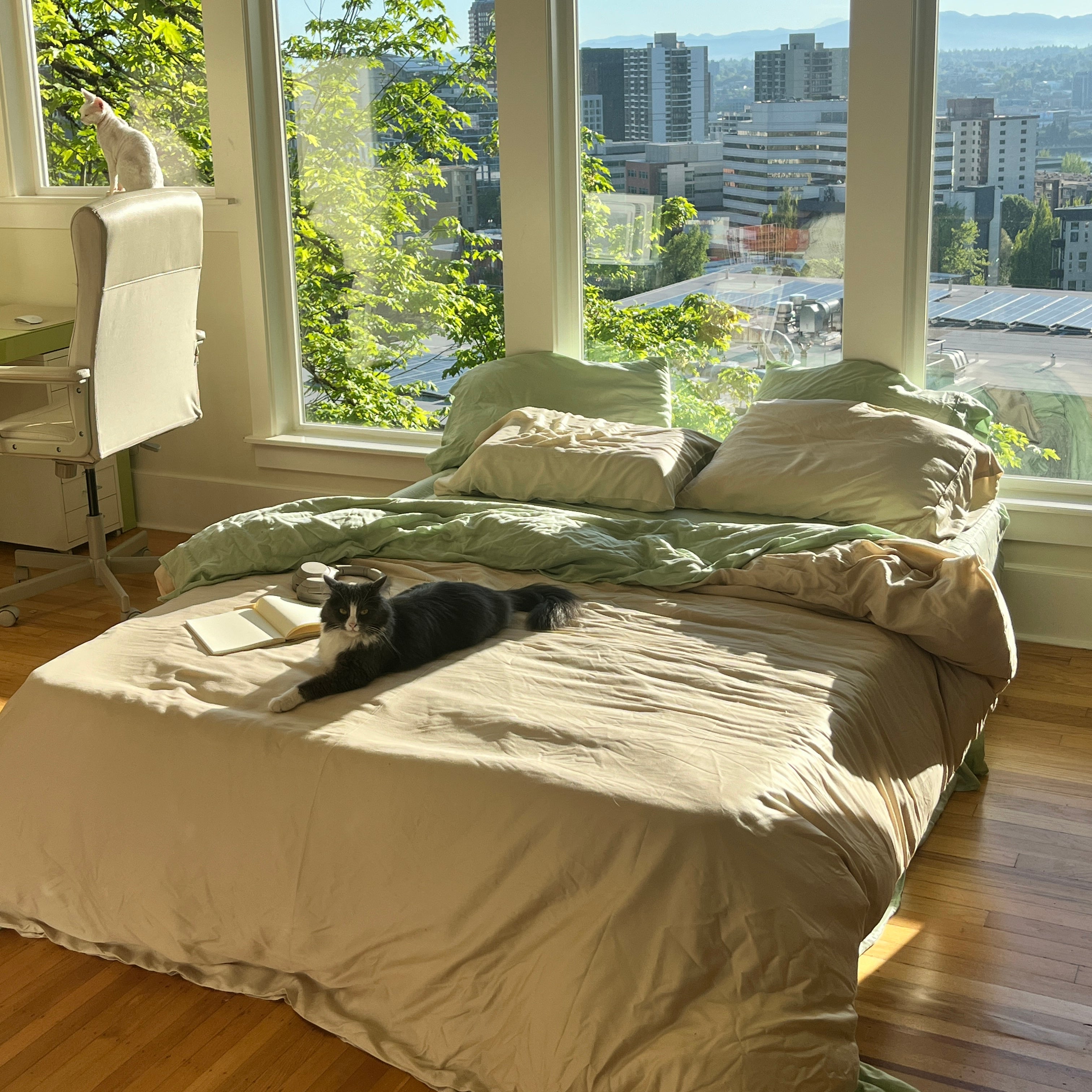 Eucalypso Deluxe Sleep Bundle