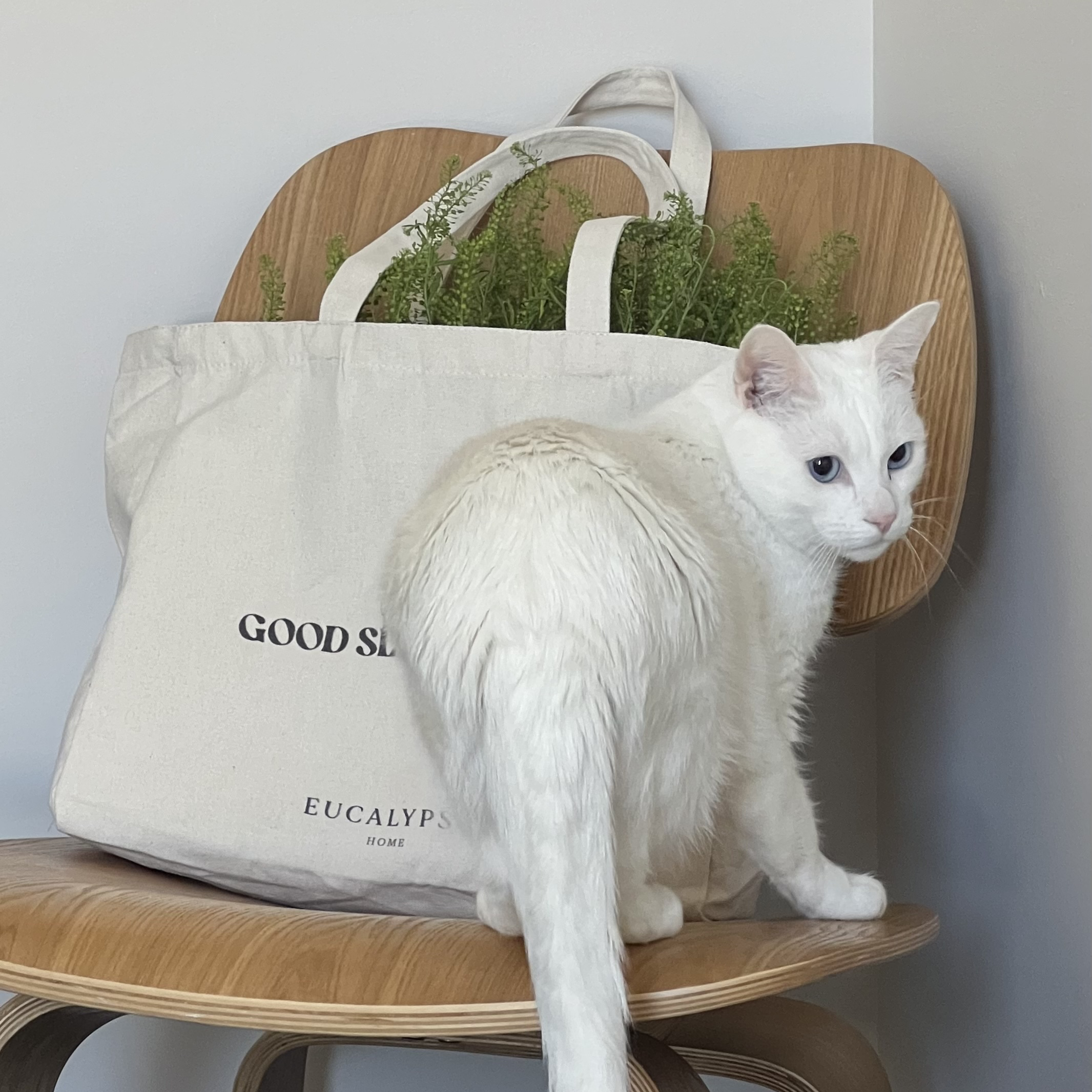 Good Sleep Society Tote