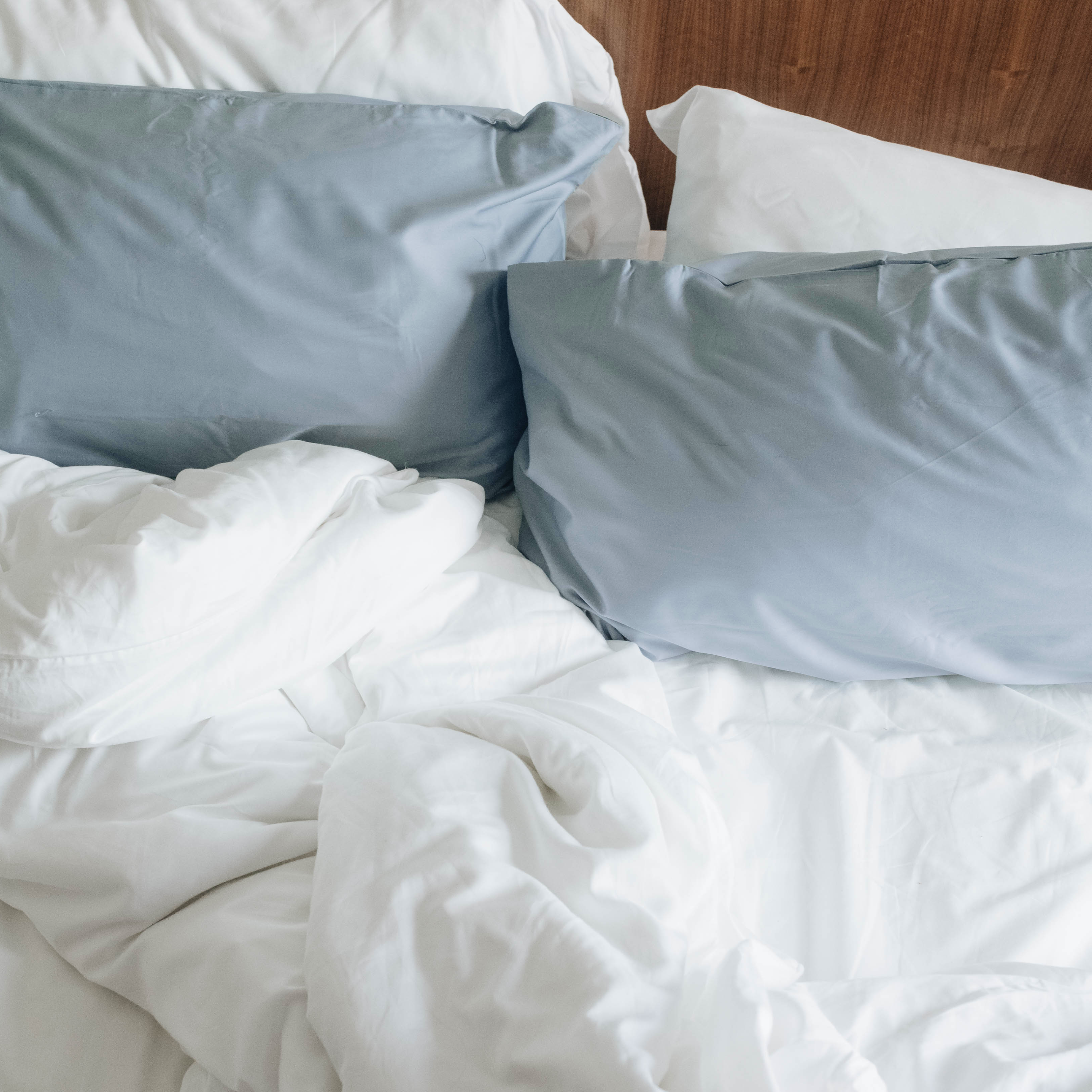 Eucalyptus Silk Pillowcase Set - Eucalypso Home