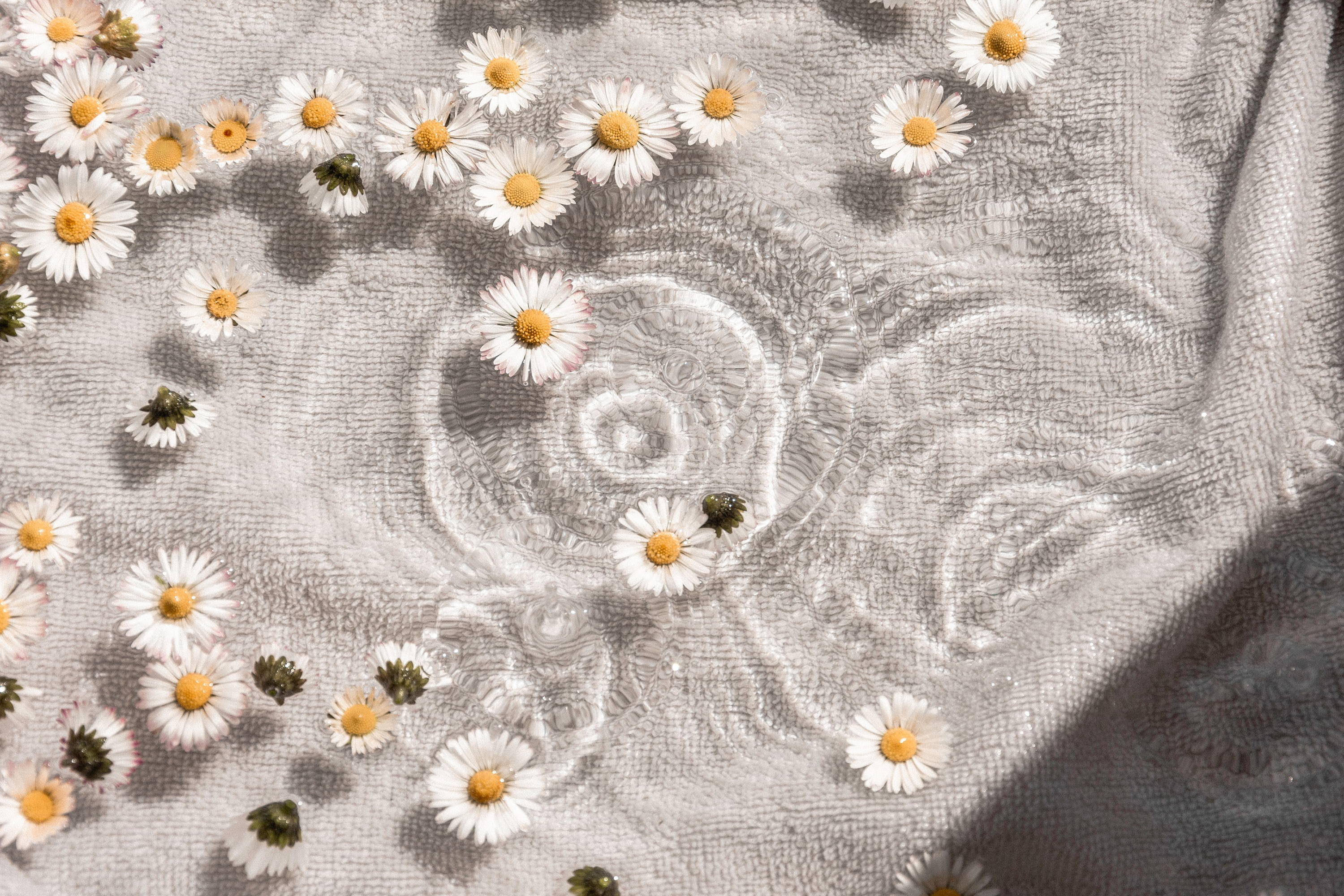 Starting Fresh: How Eucalypso Sheets Can Improve Your Wellbeing and Sleep for 2022