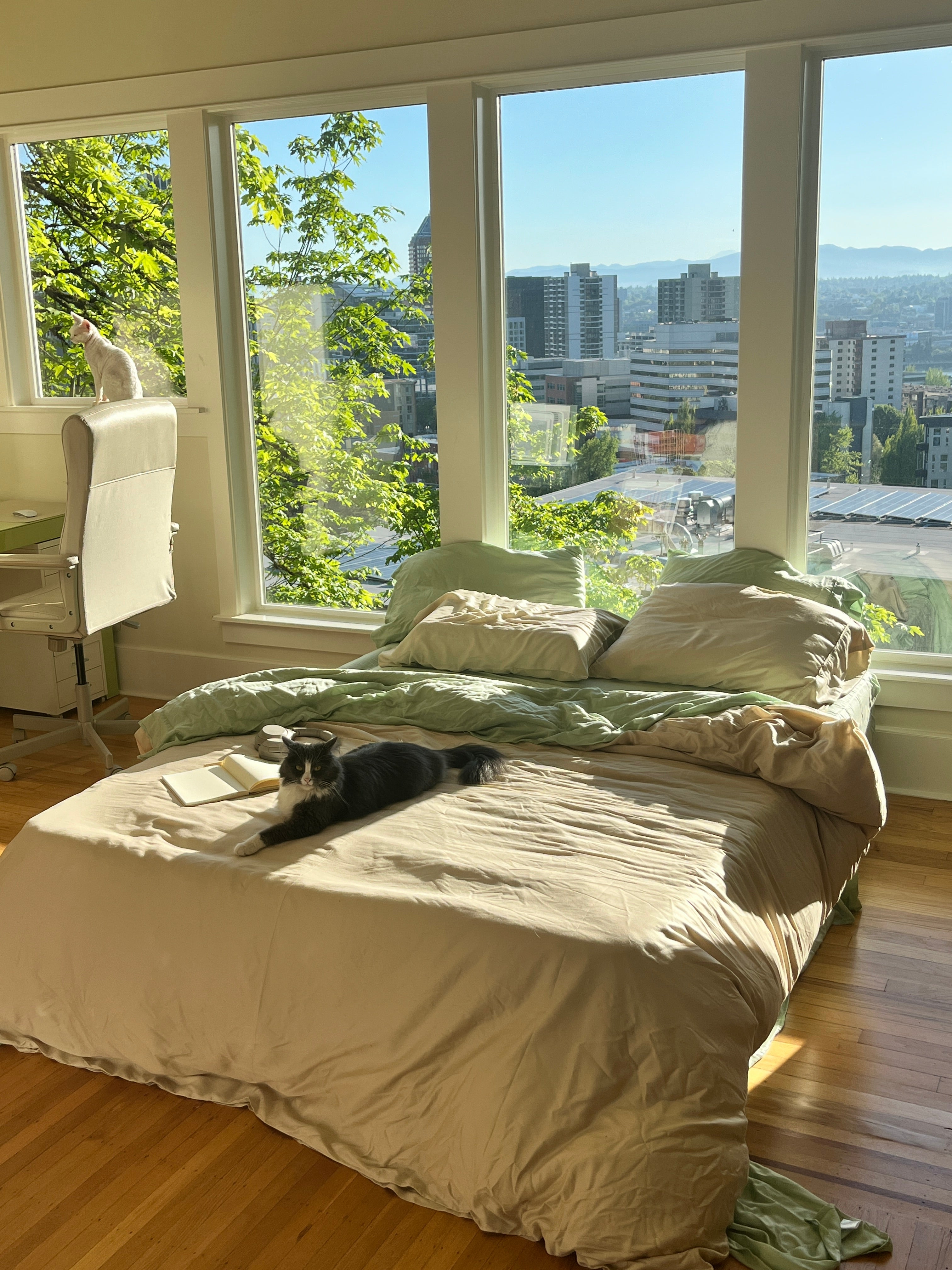 Black and white cat lounging in bed styled with silky soft eucalyptus sheets in beige and light green