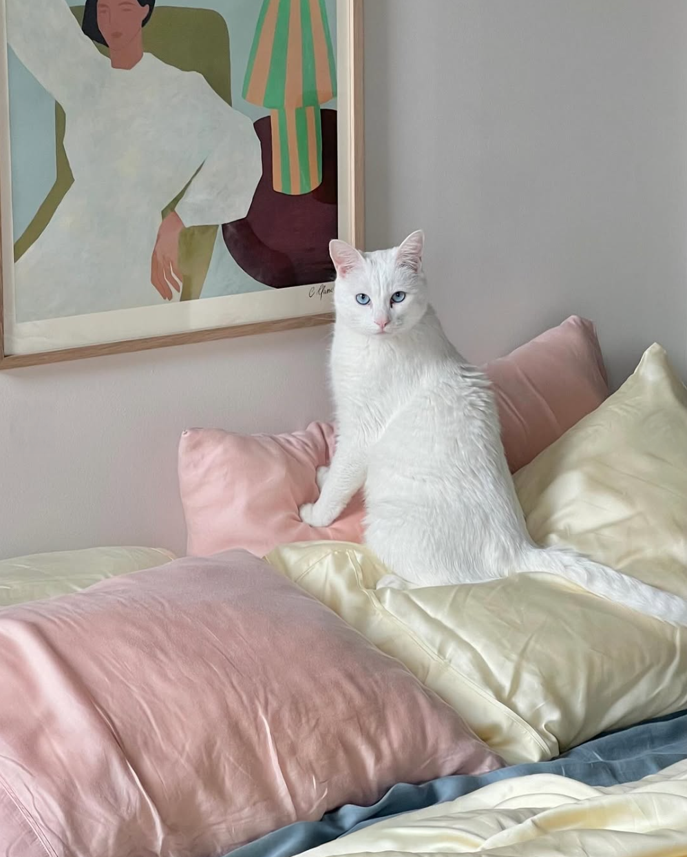 White cat lounging in bed in butter yellow and light pink eucalyptus sheets showcasing its silky soft texture 